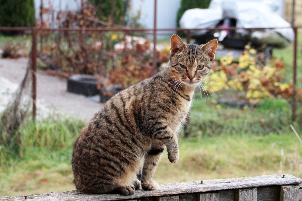 Photograph by Татьяна Иванникова