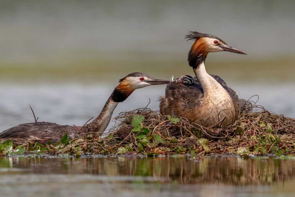 Photograph by Константин Тучин