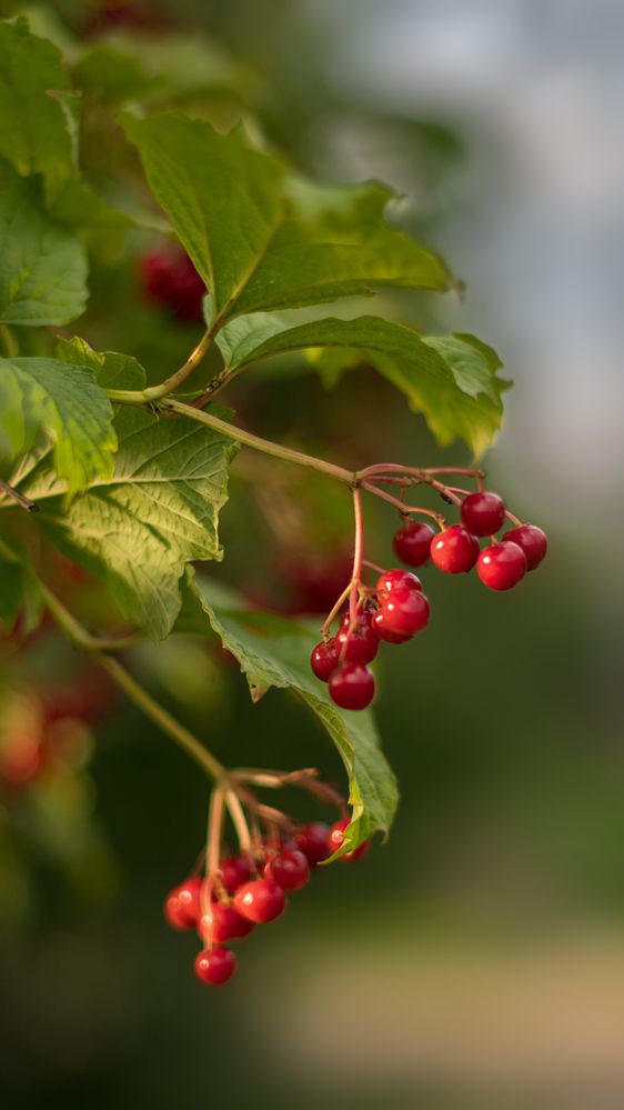 Photograph by Валерия Дорогова