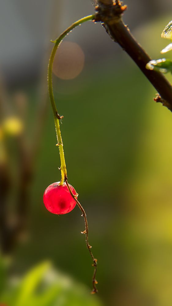 Photograph by Валерия Дорогова