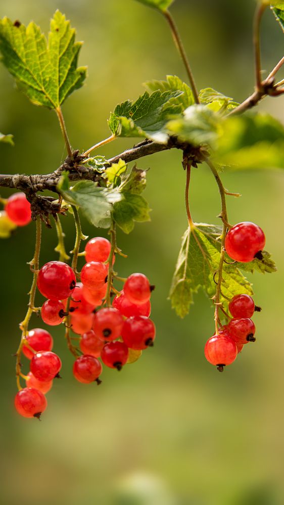 Photograph by Валерия Дорогова