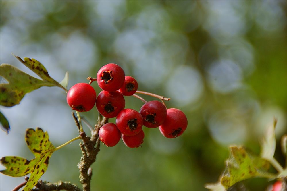 Фотография автора Sergej Roor
