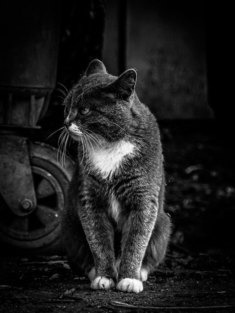 Photograph by Остапенко Юрий