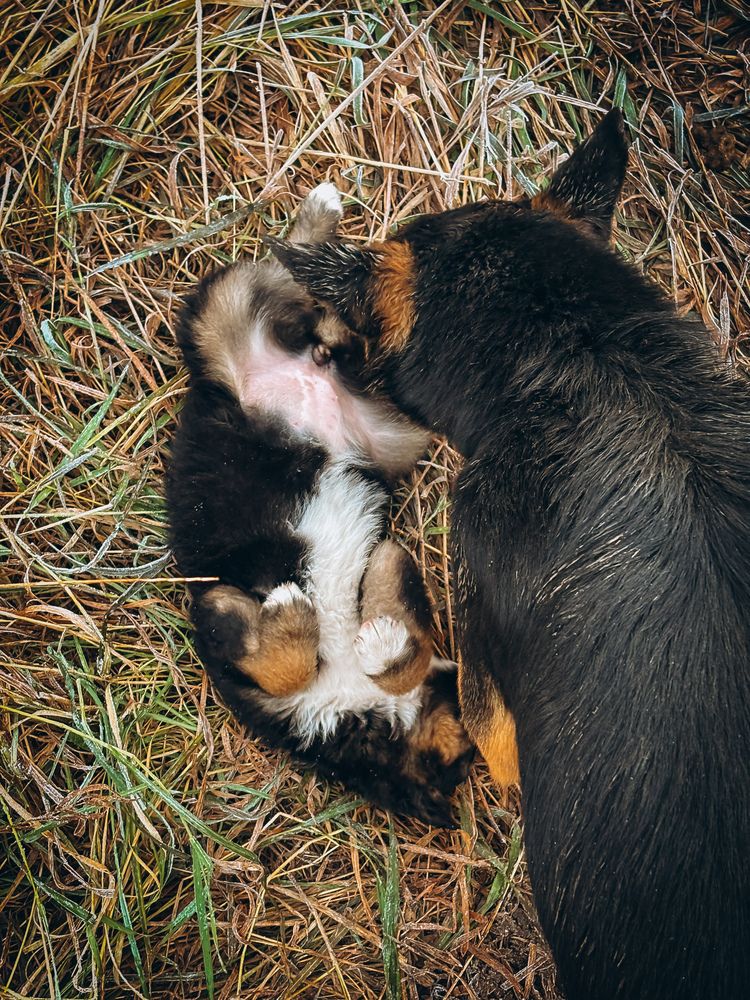 Photograph by Алёна Горошко