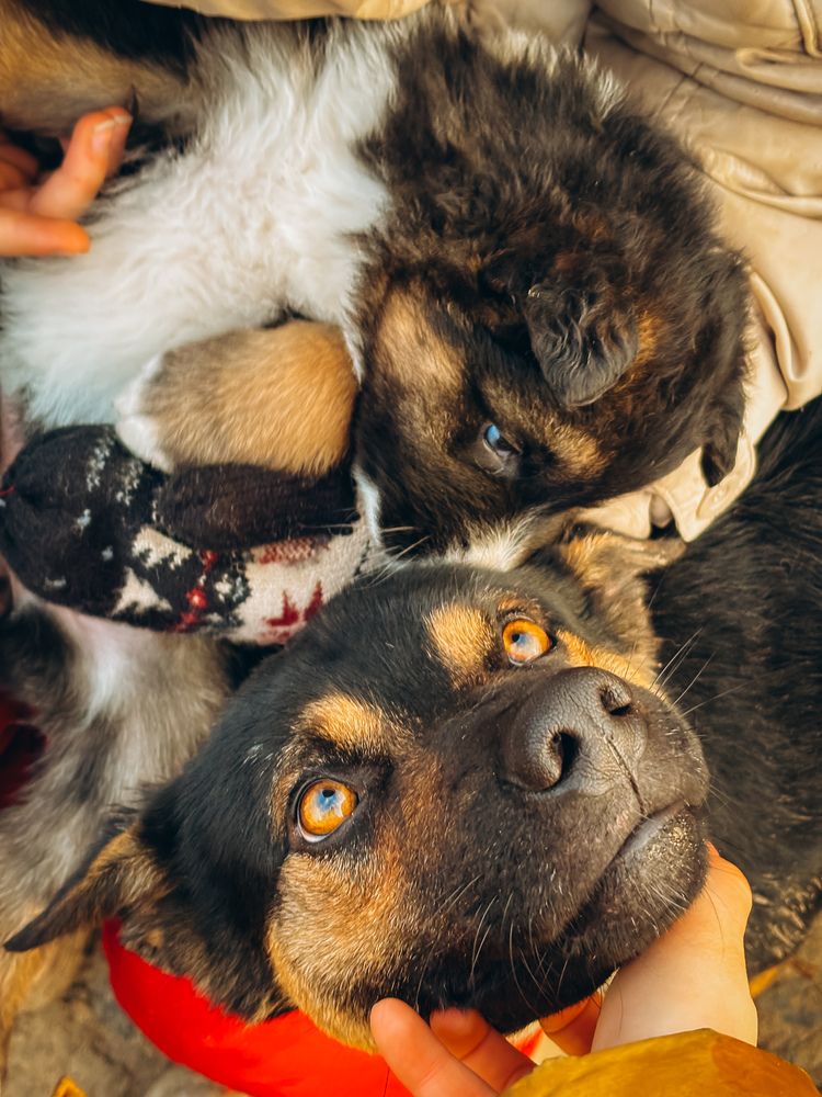 Photograph by Алёна Горошко