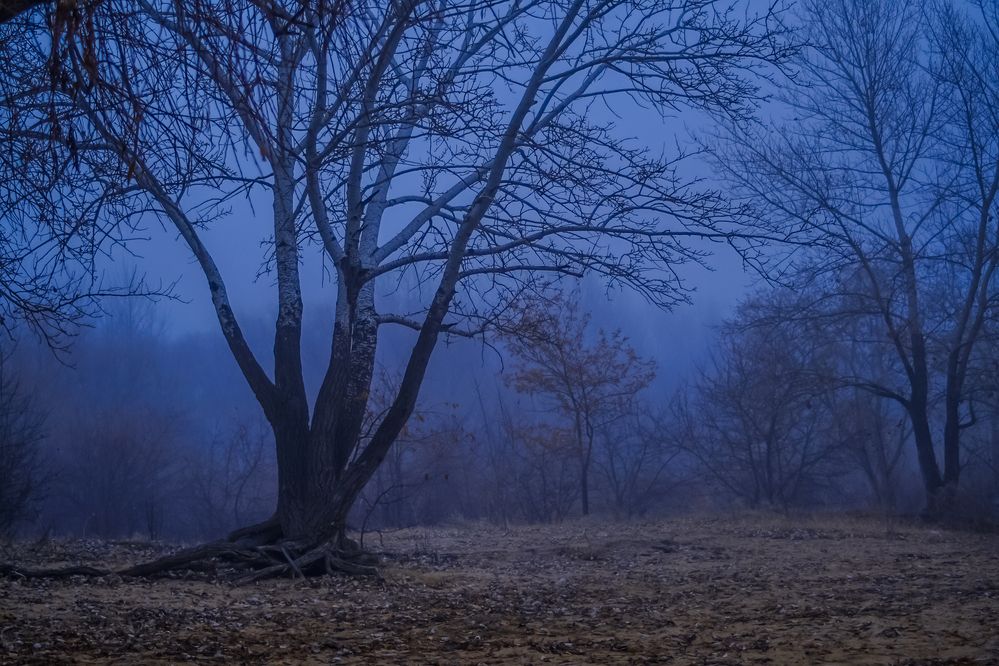 Photograph by Остапенко Юрий