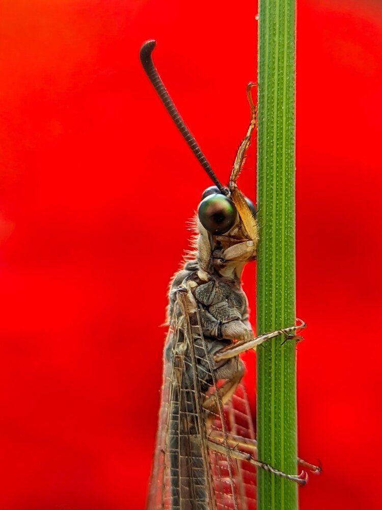 Photograph by Ameen Ahmed L