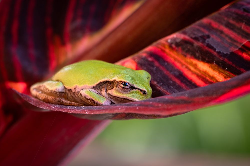 Photograph by Suzuki Ryuta