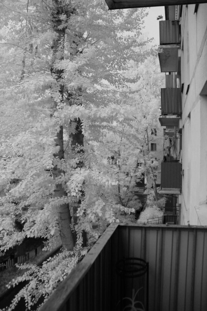 Photograph by Виктор