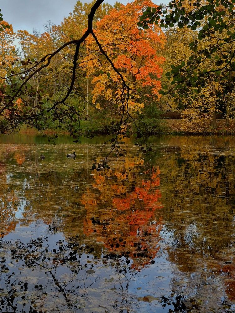 Фотография автора Наталья Бруёк