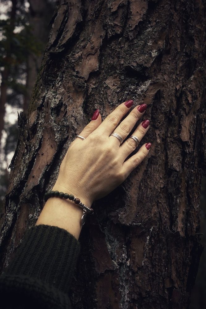 Photograph by Ljudmila Stupak