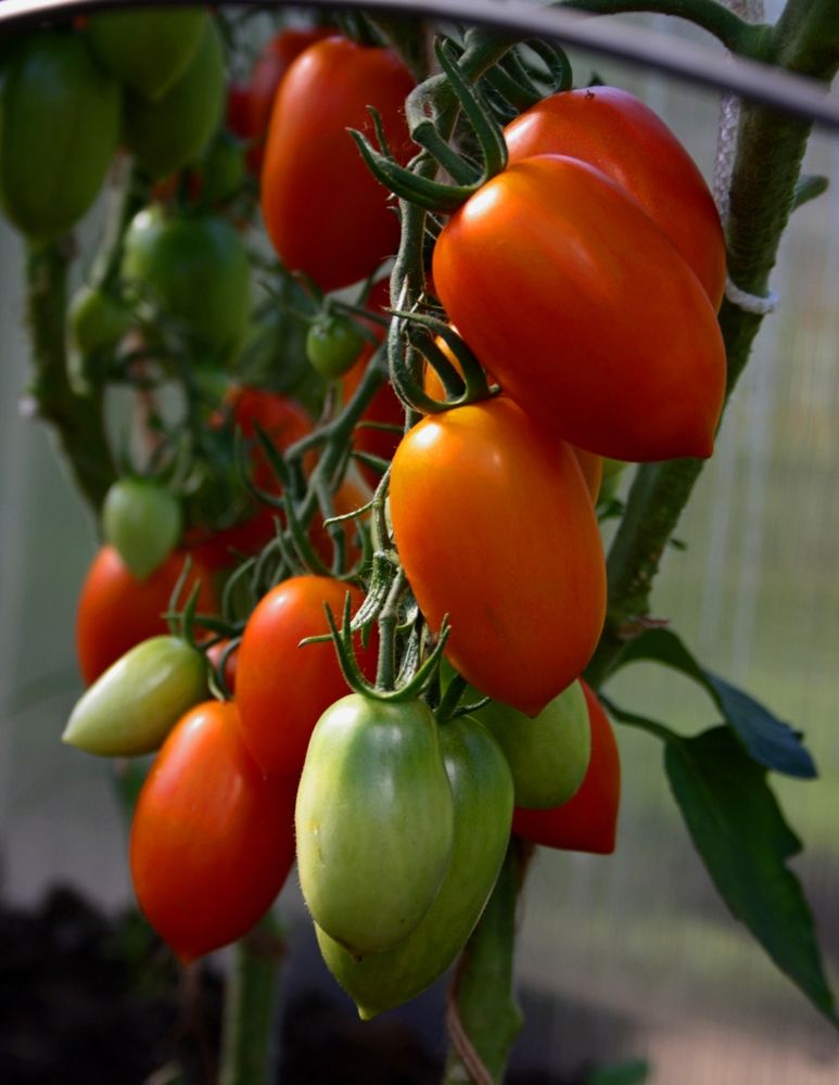 Photograph by Татьяна Слесарева