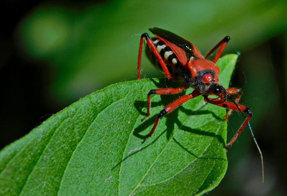 Photograph by Сергей Чеченов