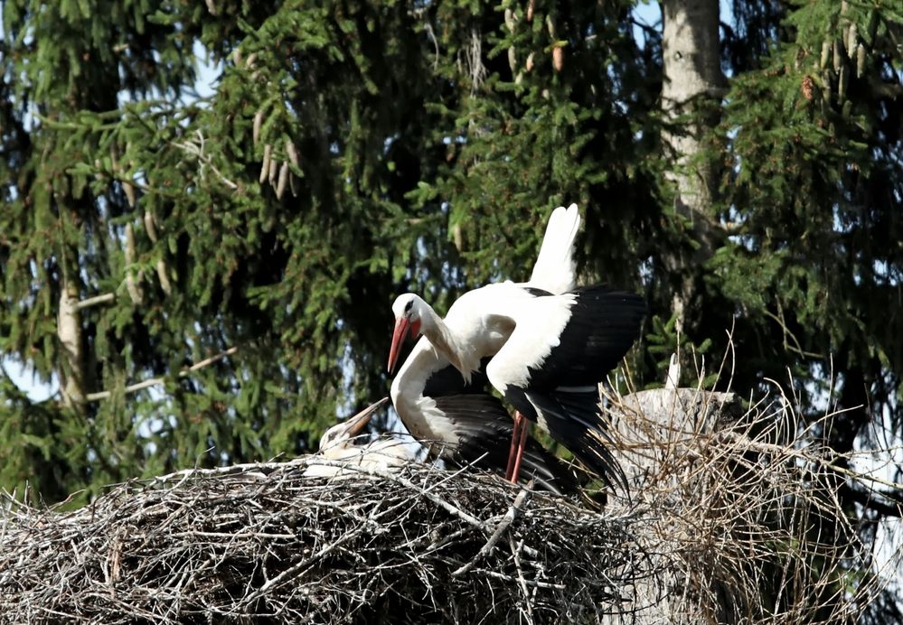 Photograph by Татьяна Слесарева