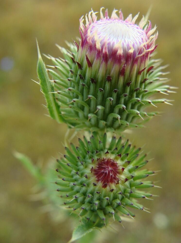 Фотография автора Павел Попов