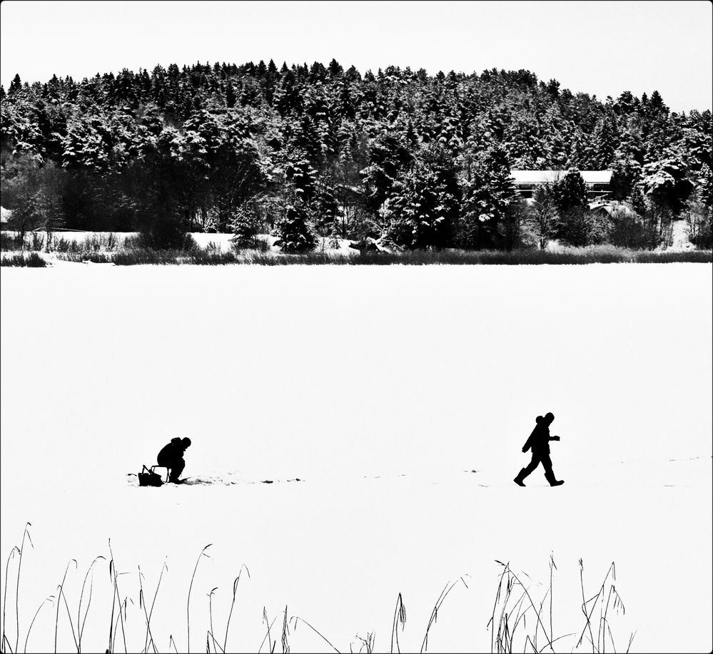 Photograph by Дима Барзыкин