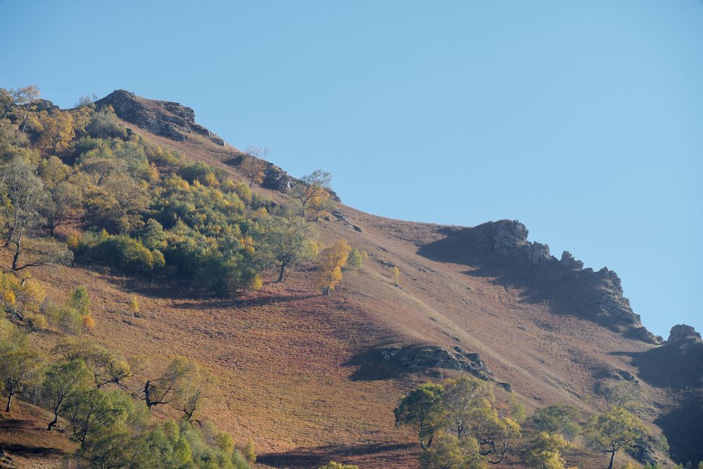 Photograph by Максим Карпович