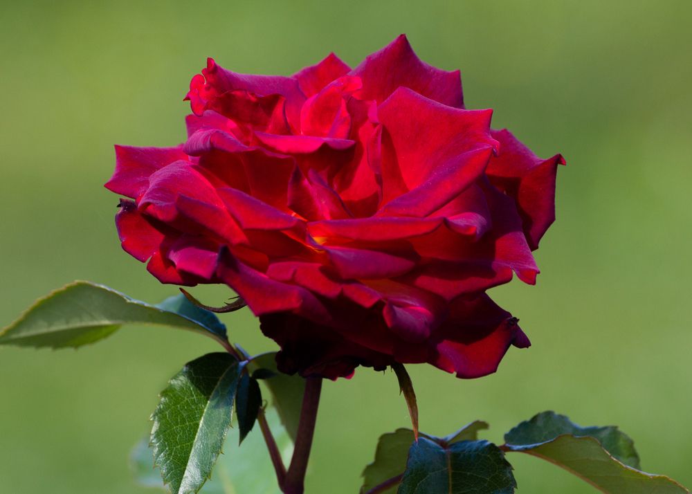 Photograph by Алексеев Сергей