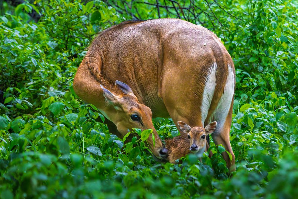 Photograph by Arkachanda Roy