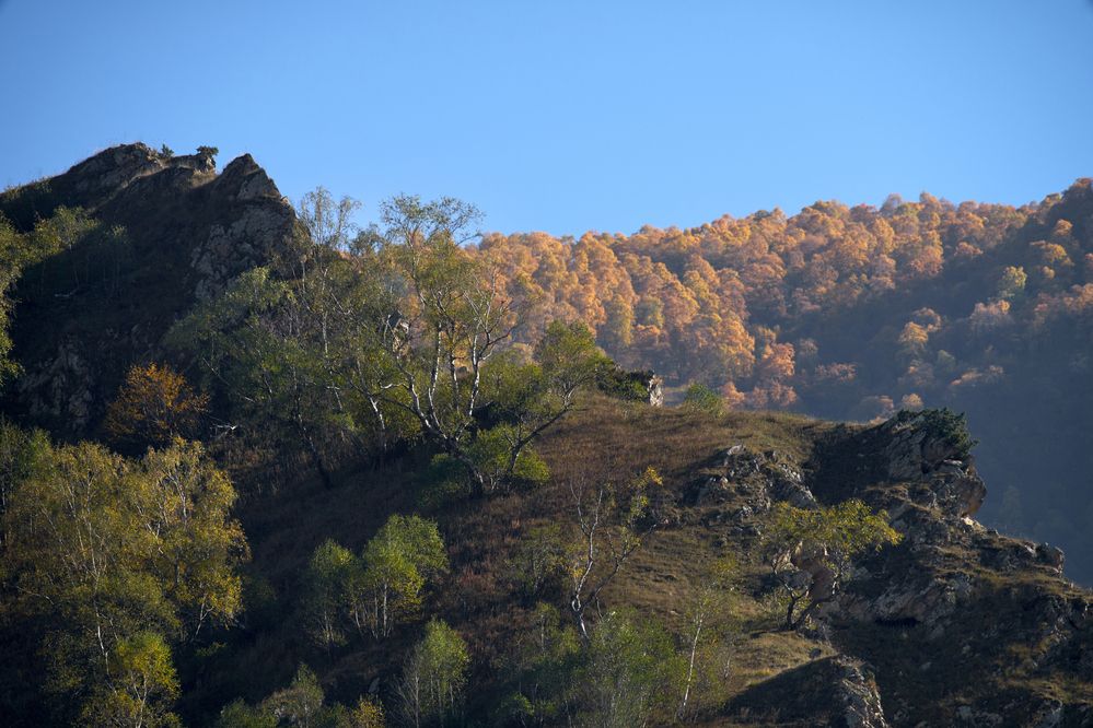 Photograph by Максим Карпович