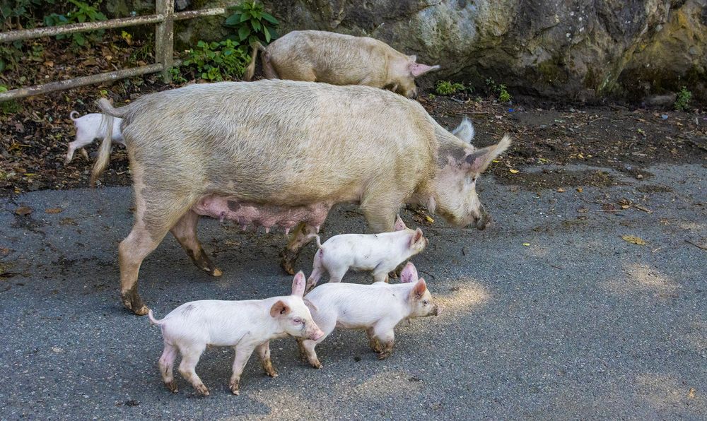 Photograph by Alex Kalpus