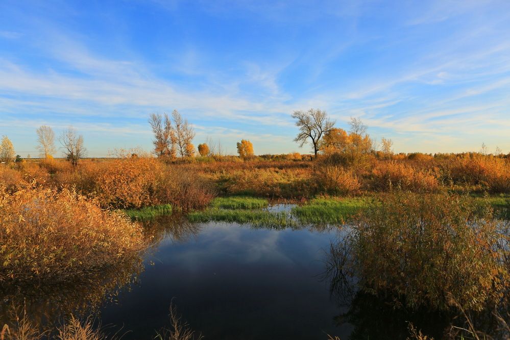 Photograph by Ирина Сушко