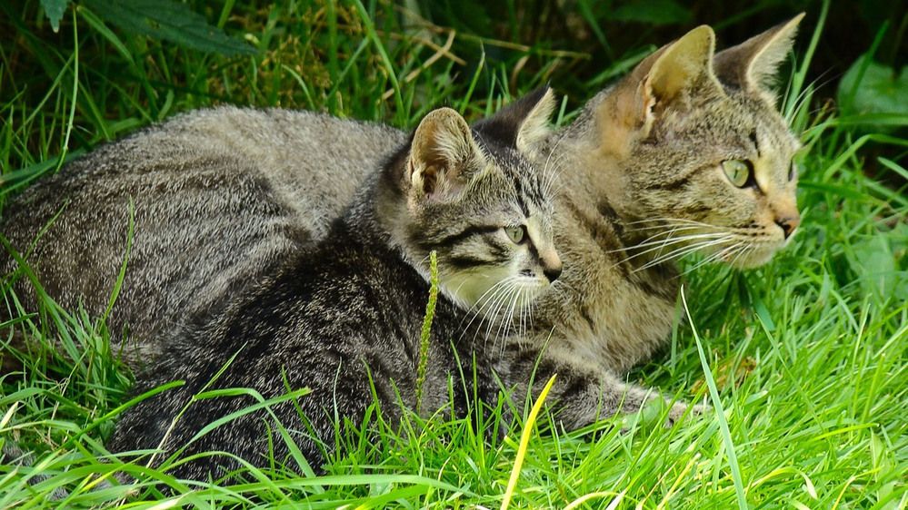 Photograph by Станислав Карташов