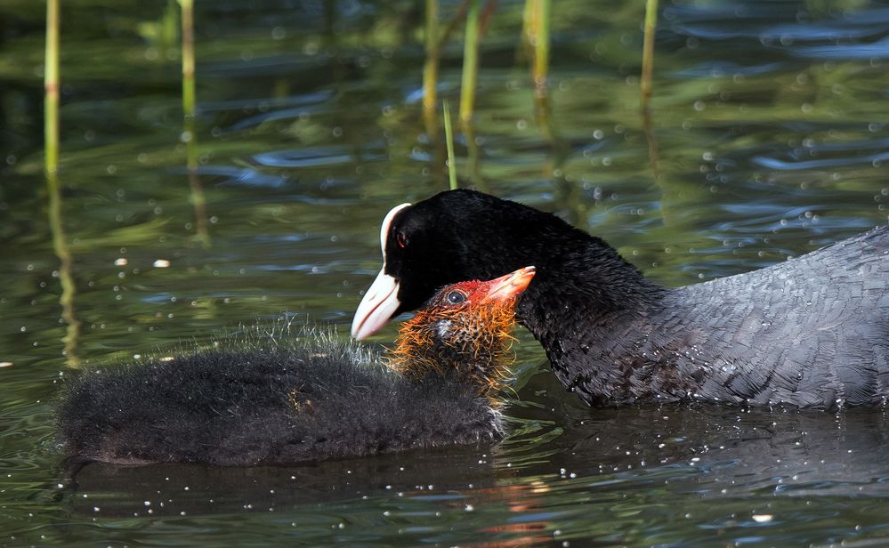 Photograph by Владимир Безбородов