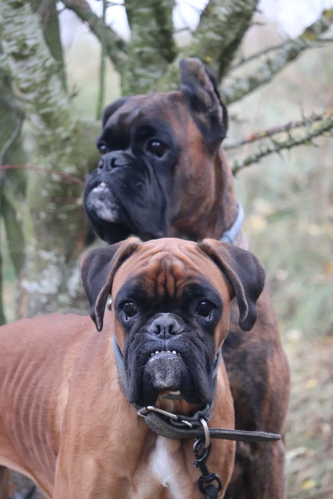 Photograph by Алексейчик Дмитрий