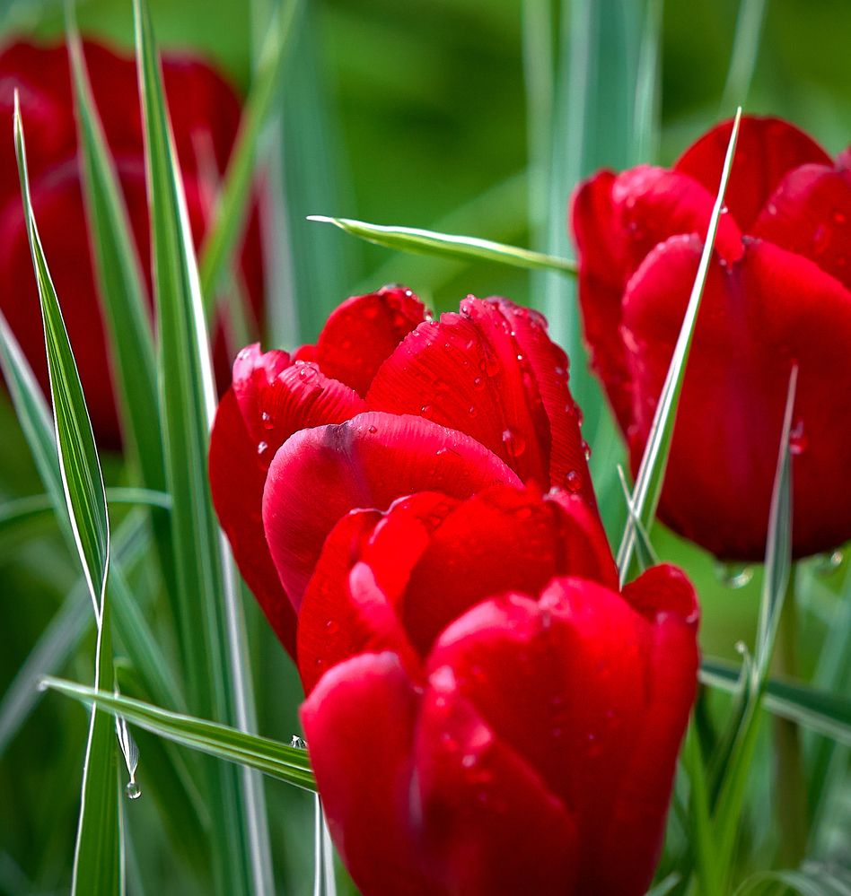 Photograph by Андрей Некрашевич