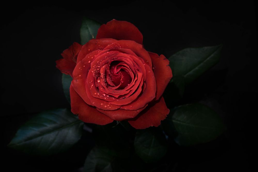 Photograph by Оксана О.