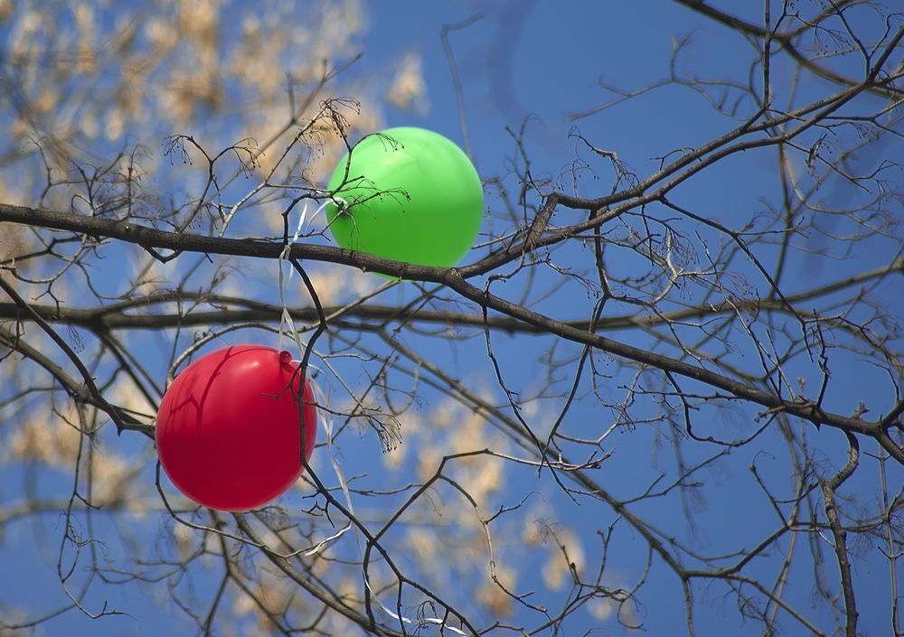 Не долетели