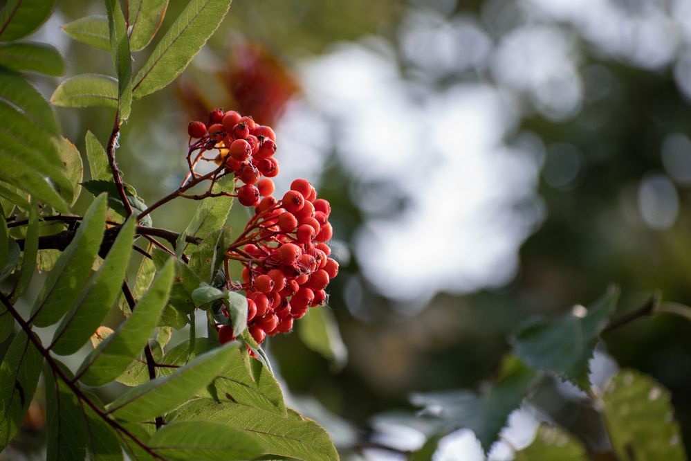 Photograph by Оксана О.