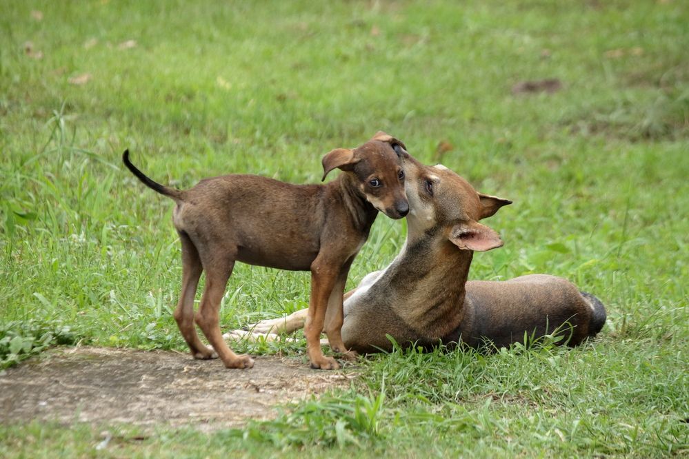 Photograph by Sudhakaran Kookiri