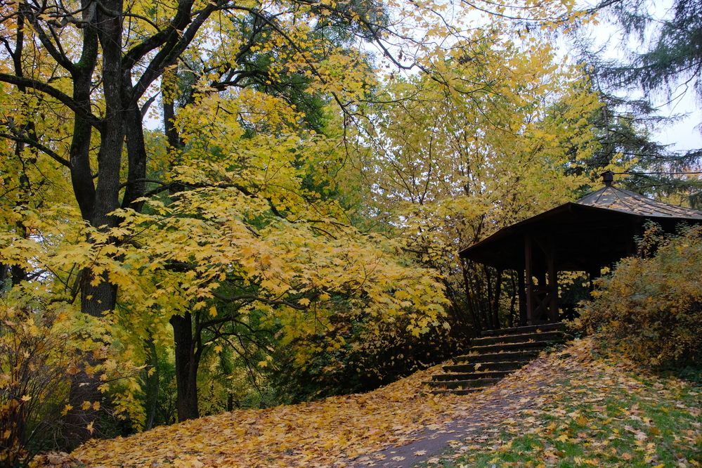 Photograph by Наталия Романова