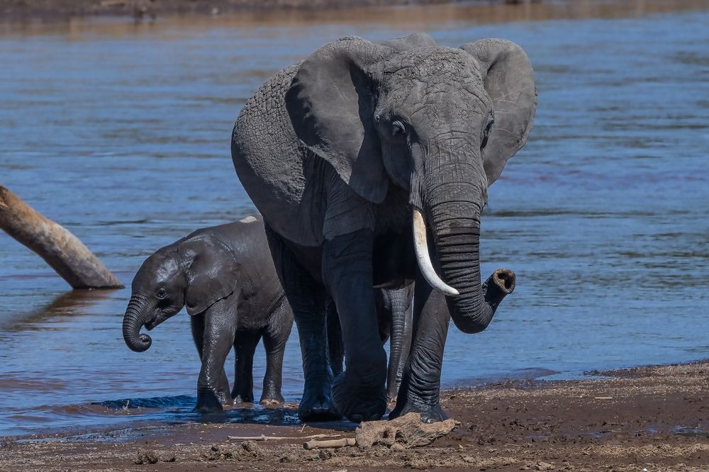 Фотография автора Anand Kumar