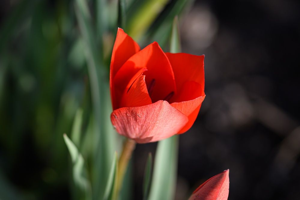 Photograph by Елена Берсенёва