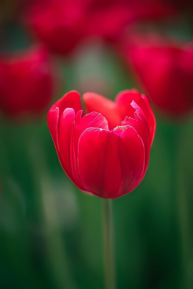 Photograph by Елена Берсенёва