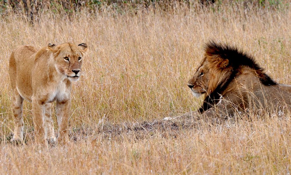 Photograph by Nikolay Isaakov