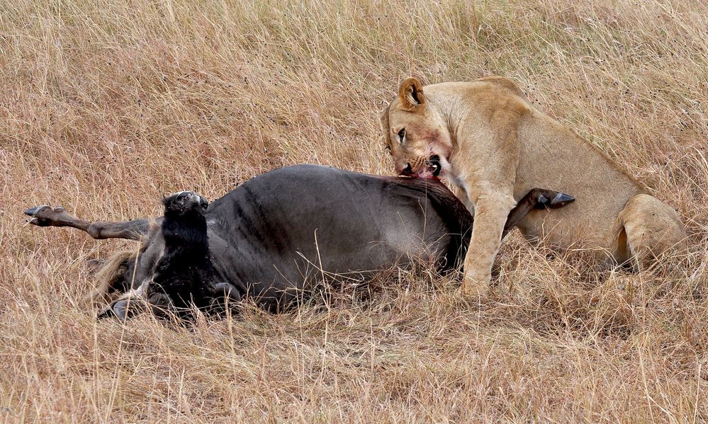 Photograph by Nikolay Isaakov