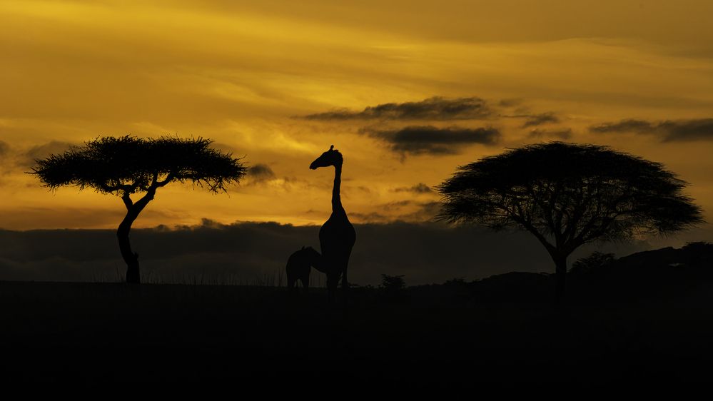 Фотография автора Anand Kumar