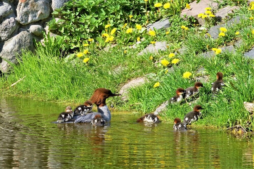 Photograph by jelena konickaja