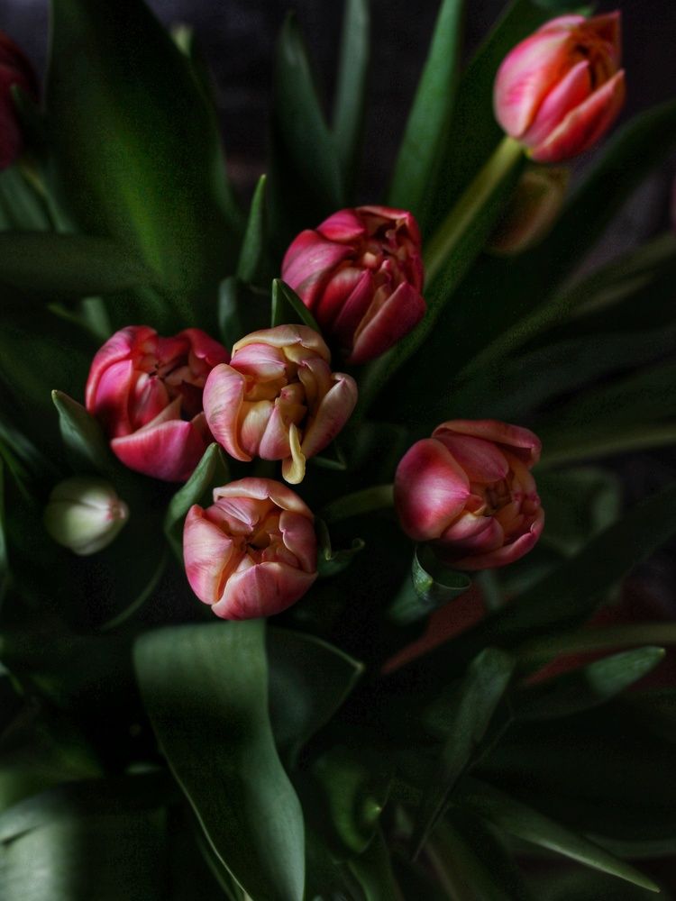 Photograph by Любовь Колмакова