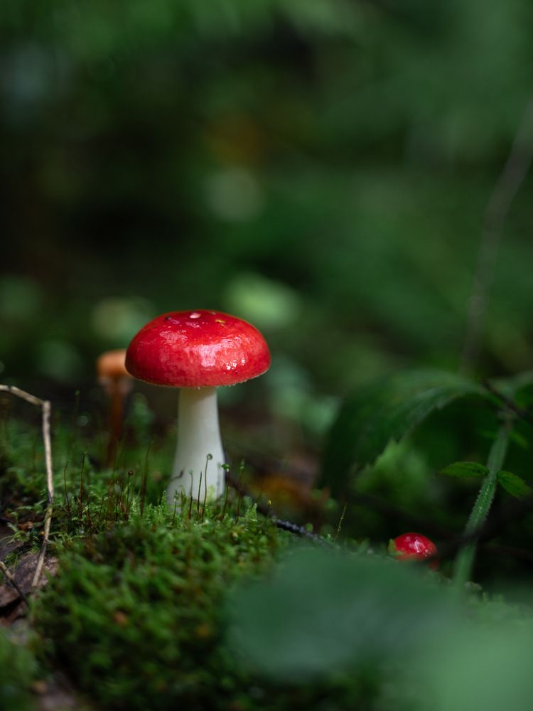 Photograph by Анна Зернова