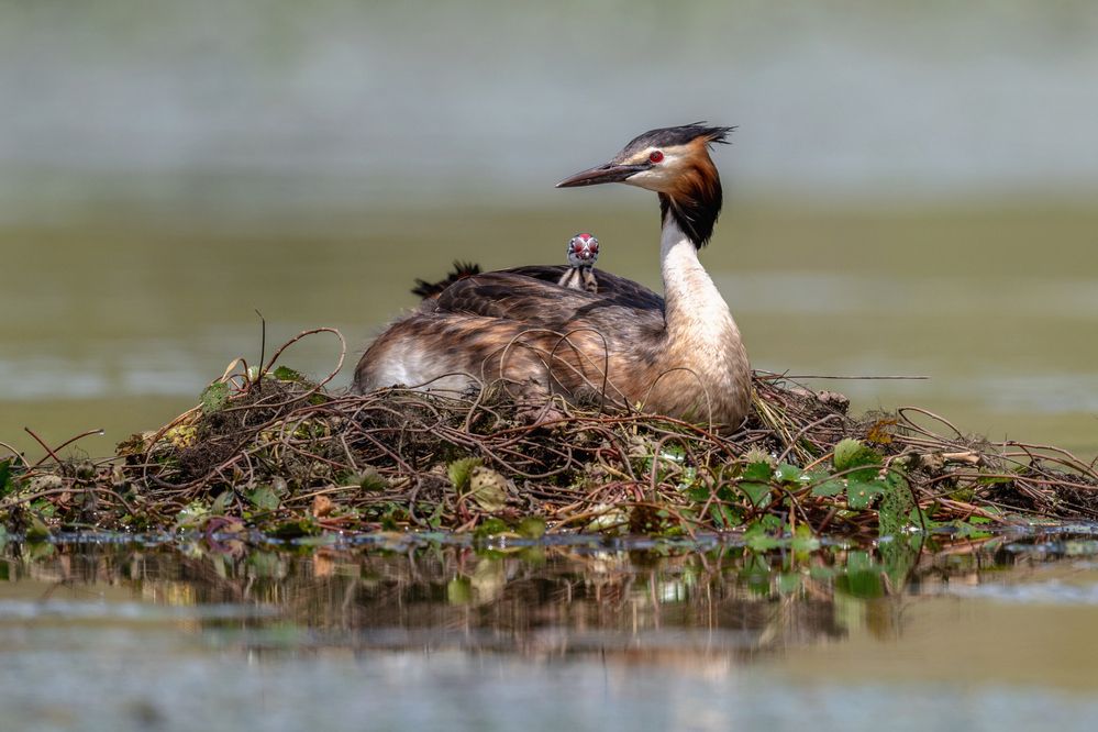Photograph by Константин Тучин