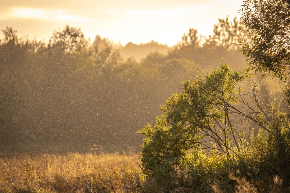 Photograph by Хабаров Сергей