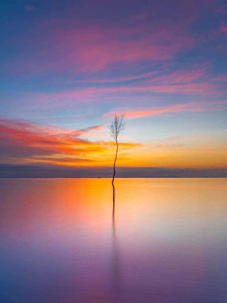 Photograph by Nguyễn Phúc