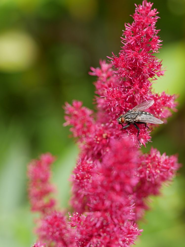 Photograph by Владимир Лобанов