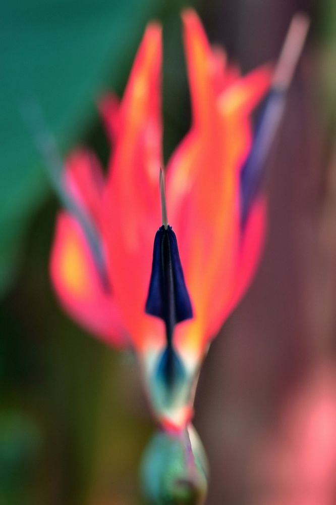 Фотография автора Micca