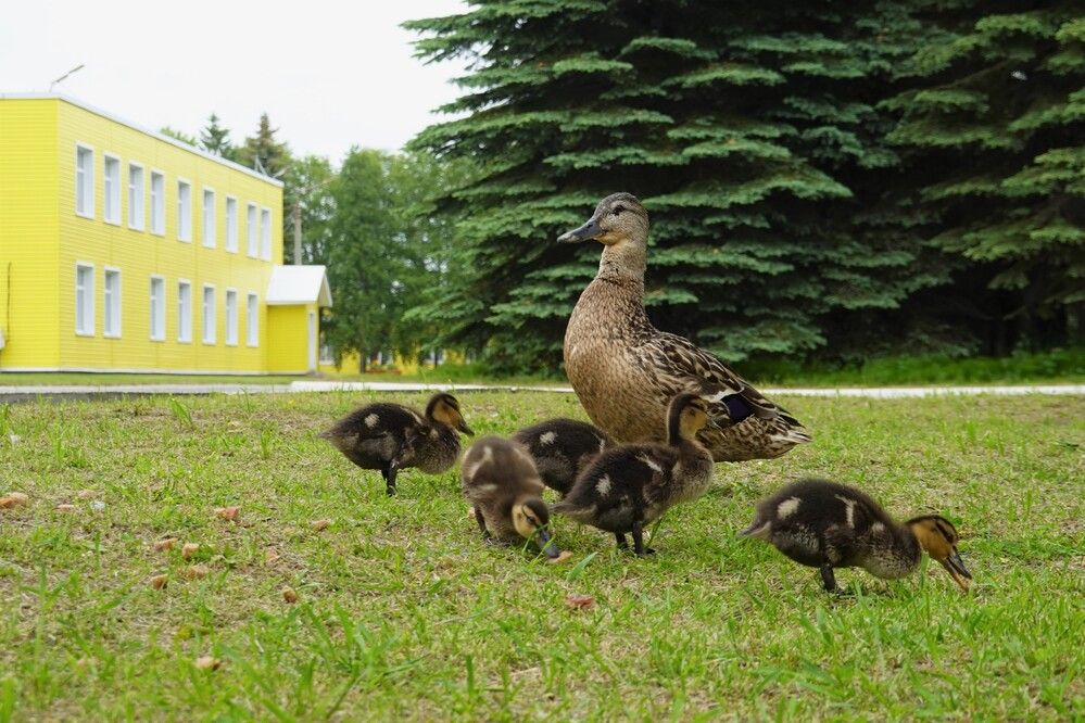 Photograph by Евгения Ковригина